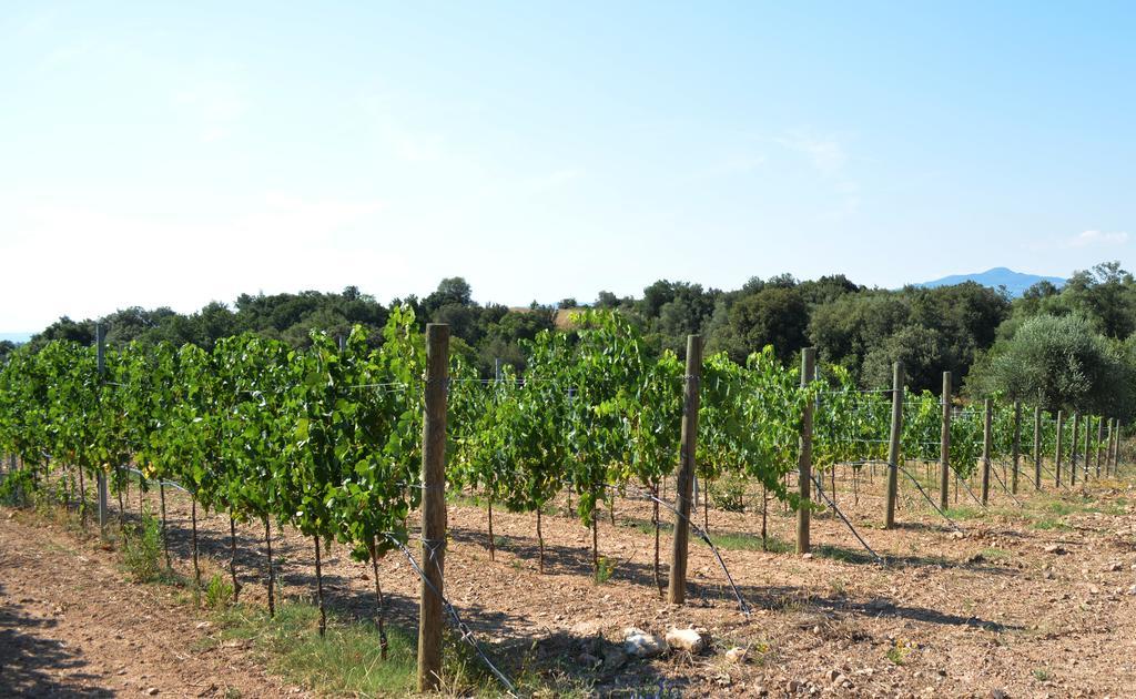 Tenuta Di Maro Sticciano Εξωτερικό φωτογραφία